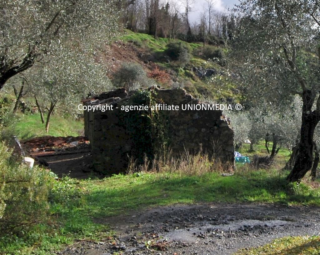 3.jpg - Rustic Santo Stefano di Magra - photo 3