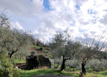 1.jpg - Rustico Santo Stefano di Magra - foto 1