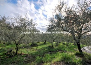 2.jpg - Rustico Santo Stefano di Magra - foto 2