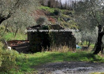 3.jpg - Rustico Santo Stefano di Magra - foto 3