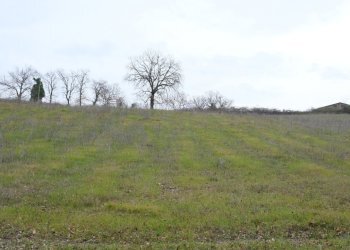 DSCF0364.JPG - Rustico VOCABOLO GROTTONI, Lugnano in Teverina - foto 2