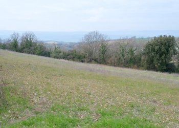 DSCF0353.JPG - Rustico VOCABOLO GROTTONI, Lugnano in Teverina - foto 4