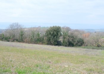 DSCF0354.JPG - Rustico VOCABOLO GROTTONI, Lugnano in Teverina - foto 6