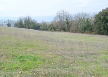 DSCF0357.JPG - Rustico VOCABOLO GROTTONI, Lugnano in Teverina - foto 7