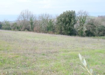 DSCF0358.JPG - Rustico VOCABOLO GROTTONI, Lugnano in Teverina - foto 9