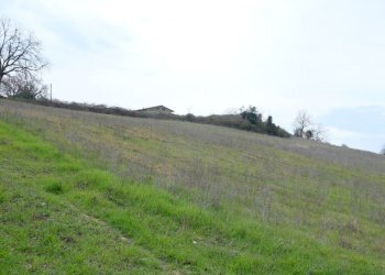 DSCF0359.JPG - Rustico VOCABOLO GROTTONI, Lugnano in Teverina - foto 10