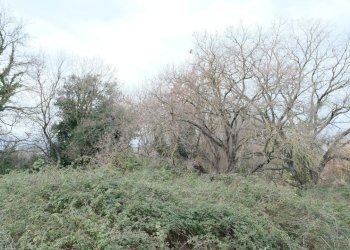 DSCF0362.JPG - Rustico VOCABOLO GROTTONI, Lugnano in Teverina - foto 11