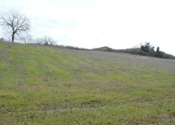 DSCF0365.JPG - Rustico VOCABOLO GROTTONI, Lugnano in Teverina - foto 13