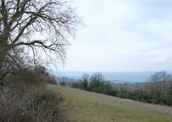 DSCF0352.JPG - Rustico VOCABOLO GROTTONI, Lugnano in Teverina - foto 14