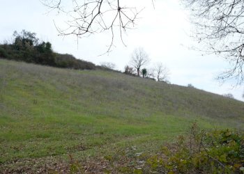 DSCF0369.JPG - Rustico VOCABOLO GROTTONI, Lugnano in Teverina - foto 15