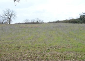 DSCF0370.JPG - Rustico VOCABOLO GROTTONI, Lugnano in Teverina - foto 16