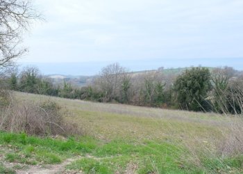 DSCF0374.JPG - Rustico VOCABOLO GROTTONI, Lugnano in Teverina - foto 20