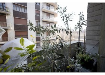 Quadrilocale Corso Rosselli, 76, Torino - foto 10