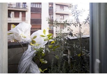 Quadrilocale Corso Rosselli, 76, Torino - foto 31