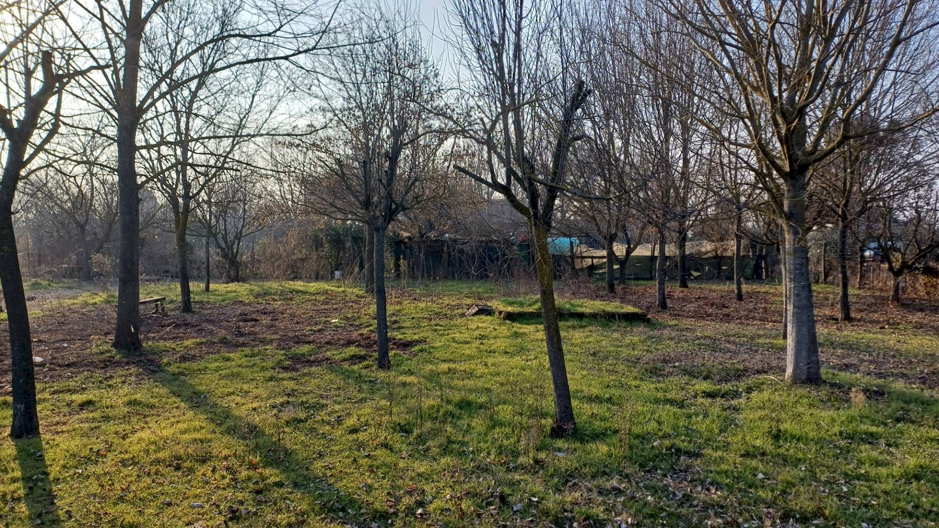 Terreno agricolo via Canalazzo, Ravenna - foto 1