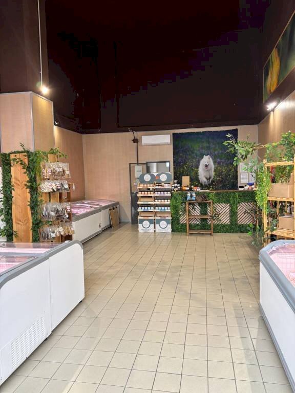 Zona - Shop via Monte Grappa, 28, Pavia - photo 1