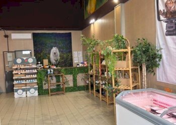 Zona - Shop via Monte Grappa, 28, Pavia - photo 1