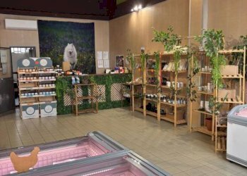 Camera da letto - Shop via Monte Grappa, 28, Pavia - photo 6