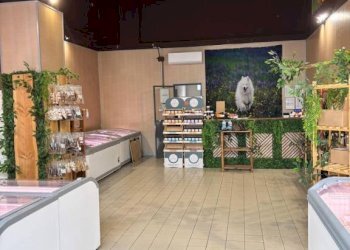 Zona - Shop via Monte Grappa, 28, Pavia - photo 1