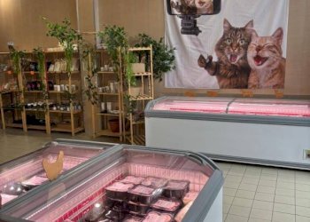 Interno non residenziale - Shop via Monte Grappa, 28, Pavia - photo 5