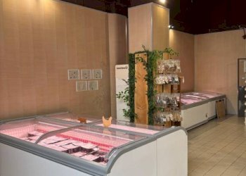 Camera da letto - Shop via Monte Grappa, 28, Pavia - photo 8