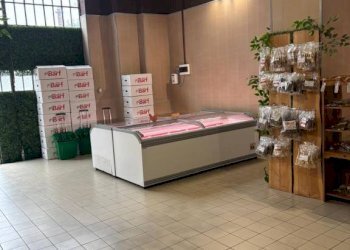 Interno non residenziale - Negozio via Monte Grappa, 28, Pavia - foto 9