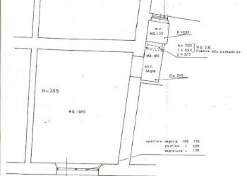 Planimetria - Shop Roma - photo 6