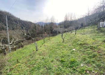 Esterni - Villa via Piane, 1, Cicagna - foto 17