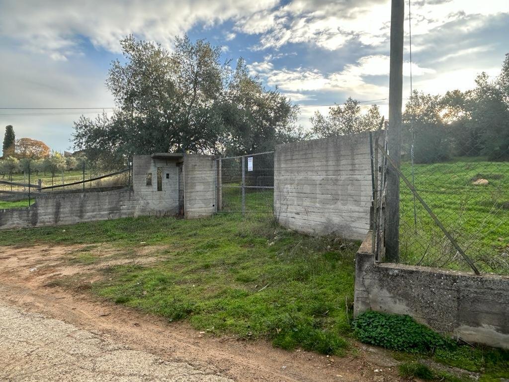 WhatsApp Image 2023-12-19 at 18.54.04 (11).jpeg - Agricultural land Via dei Gelsi di Niscima 1, Caltanissetta - photo 1