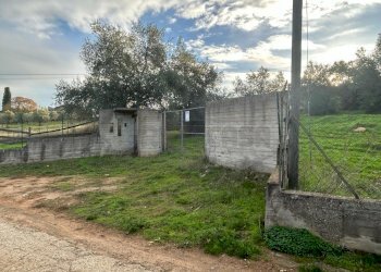 WhatsApp Image 2023-12-19 at 18.54.04 (11).jpeg - Agricultural land Via dei Gelsi di Niscima 1, Caltanissetta - photo 1