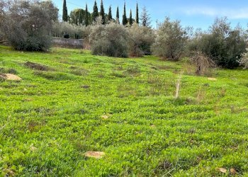 WhatsApp Image 2023-12-19 at 18.54.04 (2).jpeg - Agricultural land Via dei Gelsi di Niscima 1, Caltanissetta - photo 4