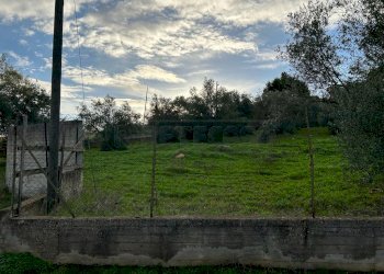 WhatsApp Image 2023-12-19 at 18.54.04 (9).jpeg - Agricultural land Via dei Gelsi di Niscima 1, Caltanissetta - photo 7