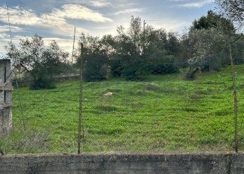 WhatsApp Image 2023-12-19 at 18.54.04 (10).jpeg - Agricultural land Via dei Gelsi di Niscima 1, Caltanissetta - photo 8