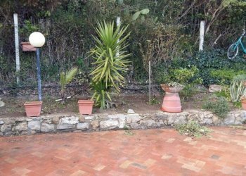 IMG-20160316-WA0003.jpg - Villa Viale L. Monaco 111, Caltanissetta - foto 2