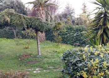 IMG-20160316-WA0012.jpg - Villa Viale L. Monaco 111, Caltanissetta - foto 7