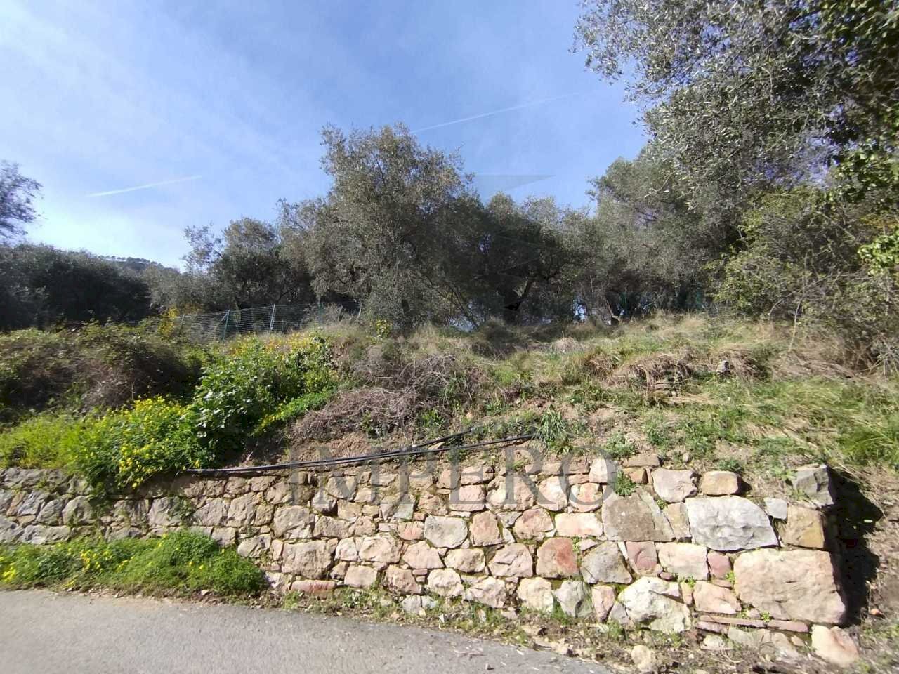 terreno - Agricultural land Via delle Otto Case, Ventimiglia - photo 2