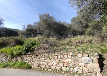 terreno - Terreno agricolo Via delle Otto Case, Ventimiglia - foto 2