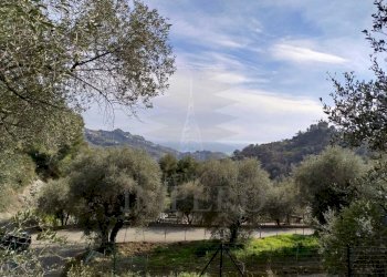 terreno - Terreno agricolo Via delle Otto Case, Ventimiglia - foto 4