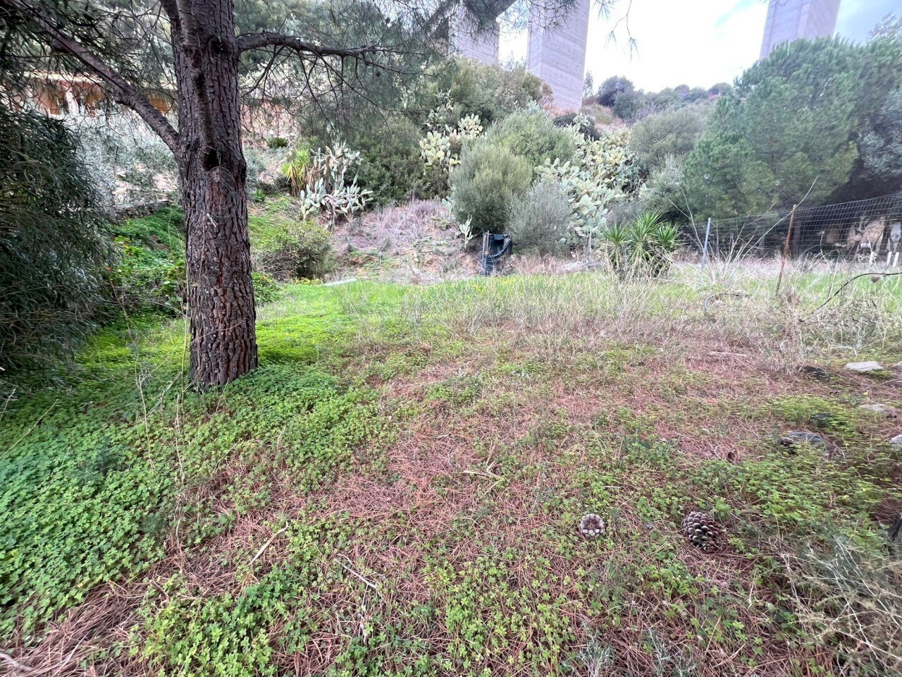 Immagine WhatsApp 2024-02-26 ore 18.10.20_0f9a9006 - Terreno agricolo Via dei Mandorletti, Maracalagonis - foto 1