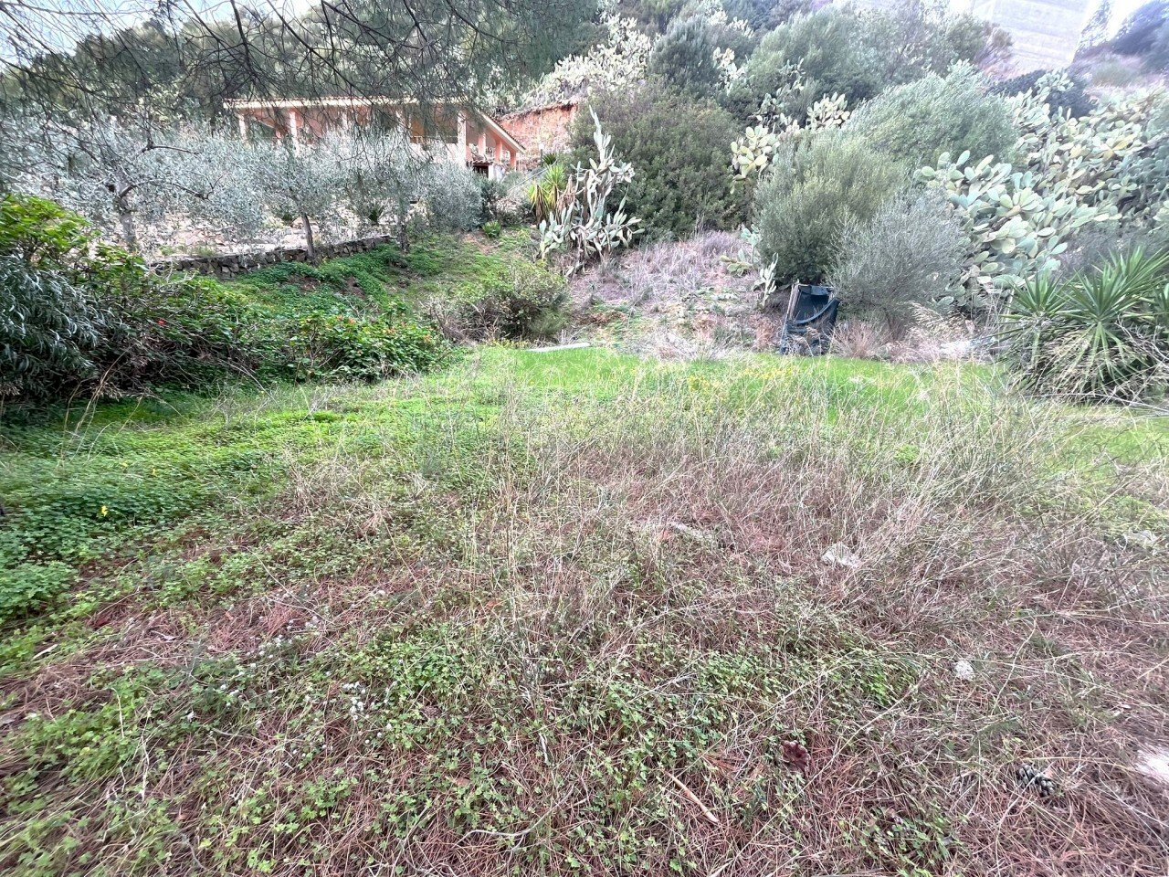 Immagine WhatsApp 2024-02-26 ore 18.10.18_1fa734e4 - Terreno agricolo Via dei Mandorletti, Maracalagonis - foto 2