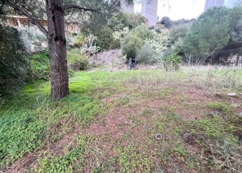 Immagine WhatsApp 2024-02-26 ore 18.10.20_0f9a9006 - Terreno agricolo Via dei Mandorletti, Maracalagonis - foto 1