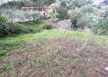 Immagine WhatsApp 2024-02-26 ore 18.10.18_1fa734e4 - Terreno agricolo Via dei Mandorletti, Maracalagonis - foto 2