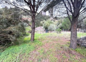 Immagine WhatsApp 2024-02-26 ore 18.10.19_a339b9df - Terreno agricolo Via dei Mandorletti, Maracalagonis - foto 3