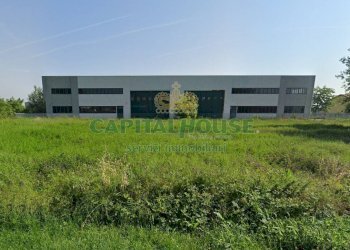 Capannone Cento - foto 1