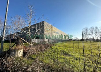 Capannone Cento - foto 2