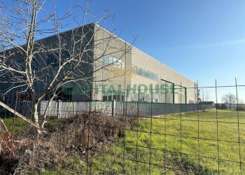 Capannone Cento - foto 3