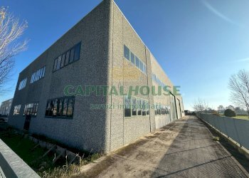 Capannone Cento - foto 4