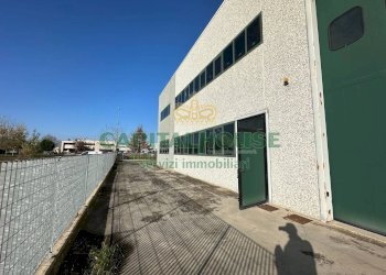 Capannone Cento - foto 5