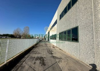 Capannone Cento - foto 7