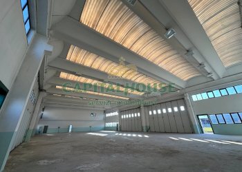 Capannone Cento - foto 14